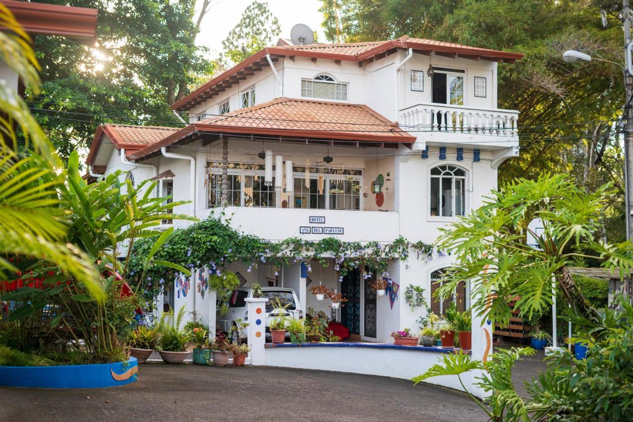 Hotel Ave Del Paraiso Сан Хосе Екстериор снимка